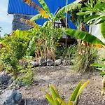 Michamvi Mangrove Cabin