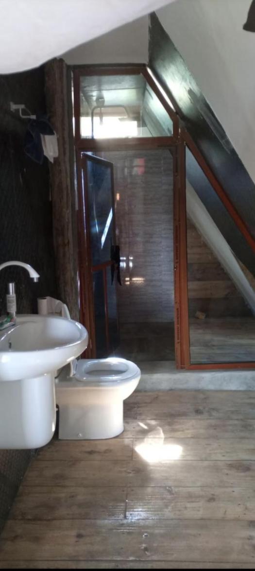 Hotel Mangrove Michamvi