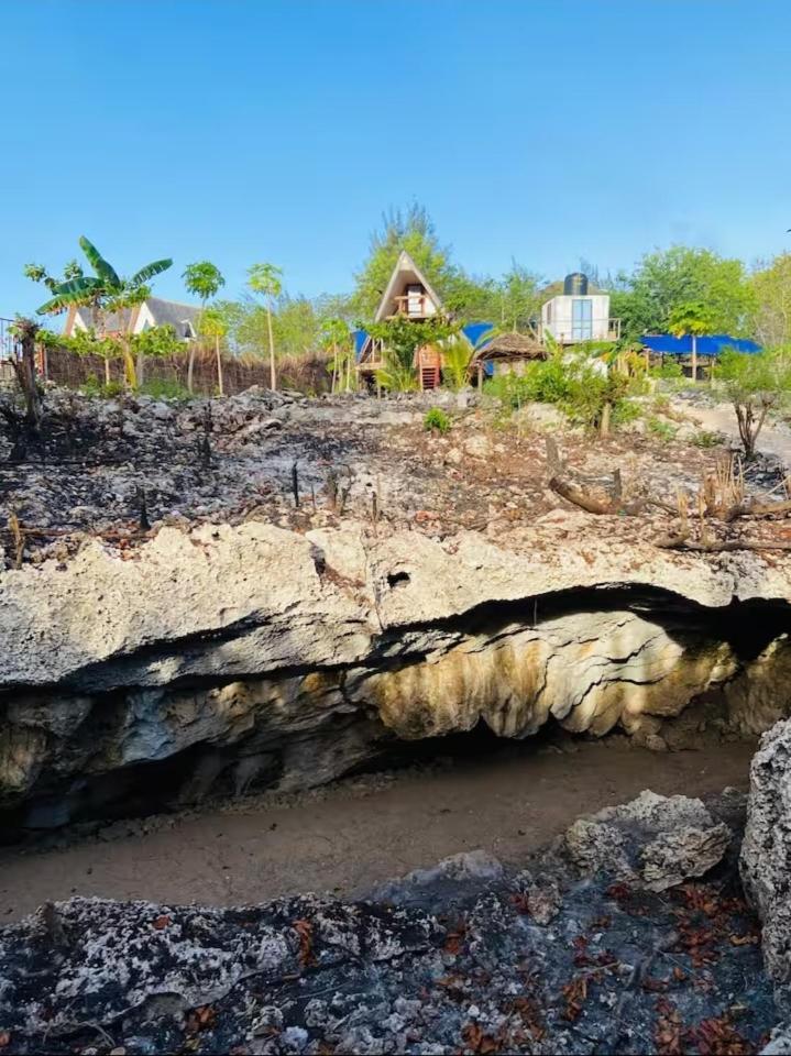Mangrove Hotel